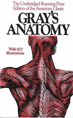 Anatomy, Descriptive and Surgical, – Paperback, by Henry Gray; T. – Very Good c