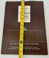 The Anatomical Chart Series by Peter Bachin and Ernest Beck 1985 Spiral Bound