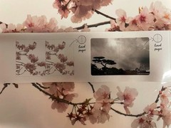 2xPage Publications Notebook Journal college lined Twin-Wire Spiral Bugs Flowers