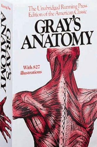 Anatomy, Descriptive and Surgical, 1901 Edition by