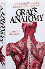 Anatomy, Descriptive and Surgical, 1901 Edition by