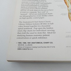 The Anatomical Chart Series Classic Library Edition 11×15 inch Desk Size Version