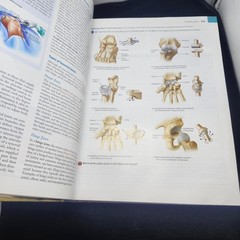 Principles of Human Anatomy, 11th Edition by Gerard J. Tortora and Mark T. Niels