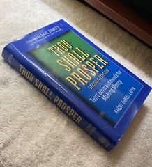 Thou Shall Prosper: Ten Commandments for Making Money by Lapin, Rabbi Daniel