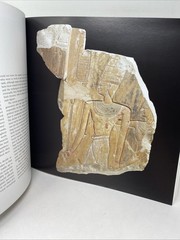 Art of Ancient Egypt : Revised Edition Gay Robins 2008 Paperback FREE SHIPPING!