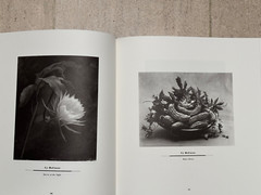BRAND NEW Journal of Contemporary Photography VOLUME TWO #258/2000 1ST EDITION**