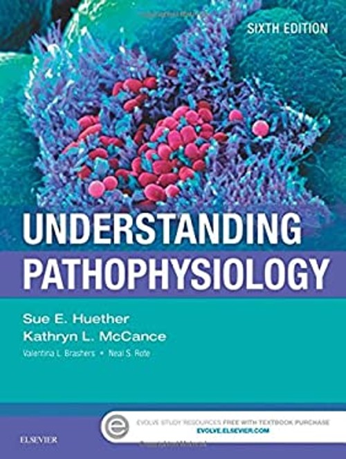 Understanding Pathophysiology Paperback Kathryn L., Huether, Sue