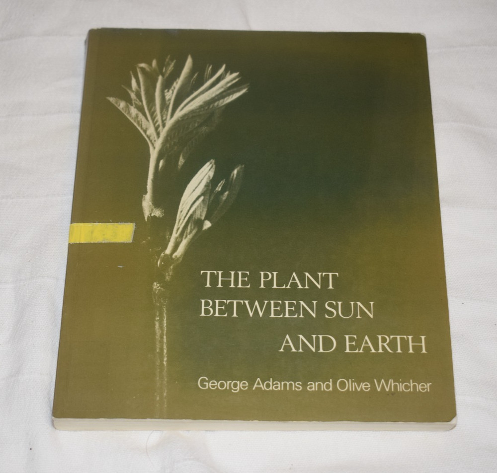 The Plant Between Sun & Earth By George Adams & Olive Whicher 1980 ex library