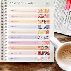 52-Week Women’s Daily Bible Study Plan Spiral-Bound One Year Workbook note book