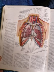 THE CIBA COLLECTION OF MEDICAL ILLUSTRATIONS – Volume 5 – Heart – Netter