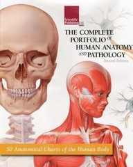 Complete Portfolio of Human Anatomy And Pathology : Collection Of 50 Anatomic…