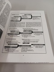 Computer Society: Software Engineering, Vol 1 & 2 Dev & Sup Process by R Thayer