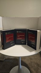 Constitutional Law by Feldman Sullivan 21st Edition University Casebook Series