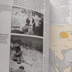 Ascent to Civilization: The Archaeology of Early Humans by John Gowlett -1992 HC