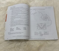 Dental Anatomy Coloring Book 2nd Edition 978-1-4557-4589-0+US SELLER+FREE SHIP