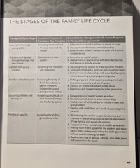 Family Therapy Concepts and Methods: Davis & Nichols (see photos:)
