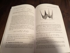 Linear Algebra by Robert Wilson and Richard Kaye (1998, UK-Trade Paper)
