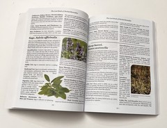 Lost Book of Remedies by Nicole Apelian and Claude Davis Sr. (2018, Uk- a Format