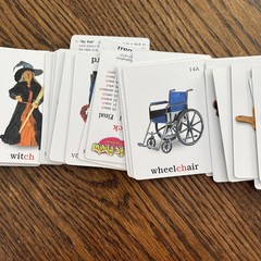 Artic Photos Fun Decks CH : Ap09 by Sharon Webber (2001, Cards,Flash Cards)