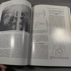 Vintage Urology In Pregnancy Selwyn Z Freed 1st Edition Signed Hardback