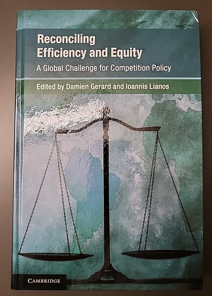 Reconciling Efficiency and Equity: A Global Challenge for Competition Policy by