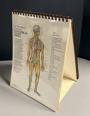 THE ANATOMICAL CHART SERIES: Full Size Desktop Easel by Bachin & Beck (1985) VG