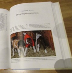 Holistic Goat Care: A Comprehensive Guide to Raising Healthy Animals, Caldwell