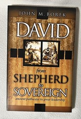 DAVID FROM SHEPHERD TO SOVEREIGN JOHN M BOREK 2004 PAPERBACK BOOK 240 PAGES