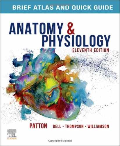 ANATOMY+PHYSIOLOGY-ATLAS+QUICK GUID – Paperback, by unknown author – Very Good c
