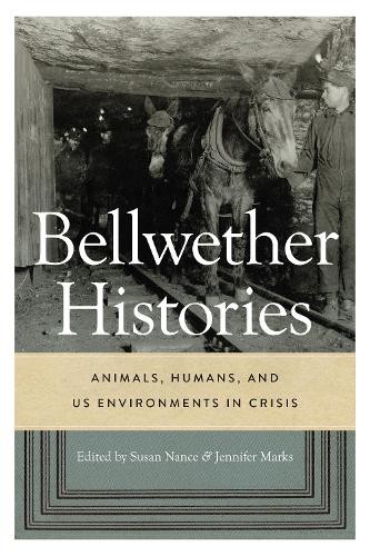 Susan Nance Bellwether Histories (Paperback) Bellwether Histories (UK IMPORT)