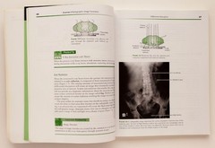 Radiographic Imaging and Exposure 2000 Paperback by Terri L. Fauber Mosby Inc.