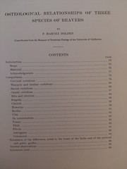 ZOOLOGY V. 17 # 8 Osteological Relationships Of Three Species Of Beavers/Holden