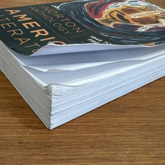 The Norton Anthology of American 10th Edition Paperback -Used