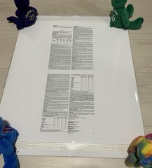 Mobic Osteoarthritis Medical Laminated Diagram 22×28 Educational Poster NIP