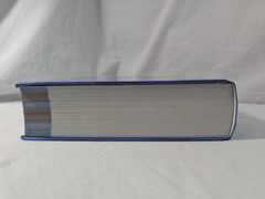 Lewis Medical Surgical Nursing 12th Edition HC Clinical Problems