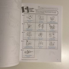 Abeka Understanding God’s World 4 Activity Book & Key No Writing