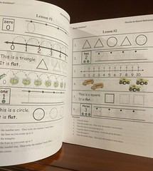 Simple Solutions Mathematics Grade K Workbook Kindergarten Math Homeschool NEW