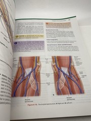 Phlebotomy Essentials, Enhanced Edition by Ruth E. McCall READ