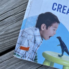 Creative Activities and Curriculum for Young Children 11th Eleventh Edition