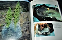 ISLANDS IN A FAR SEA Fate and Nature in Hawaii John Culliney HC 1ST 2006