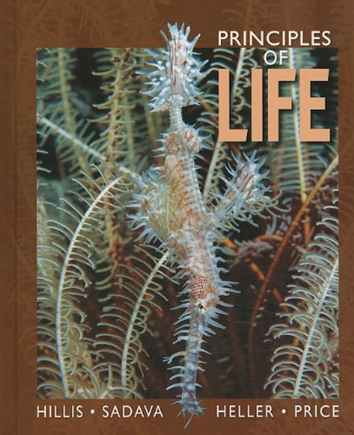 Principles of Life Hardcover