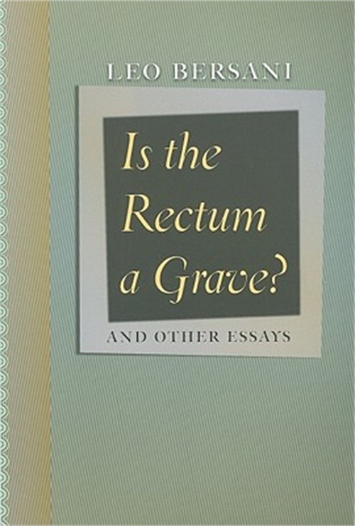 Is the Rectum a Grave?: And Other Essays (Paperback or Softback)