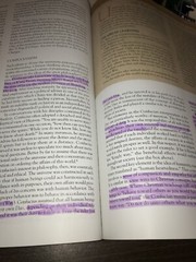 World History Paperback Book