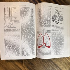 1959 Human Physiology TextBook – Holt Rinehart Winston – See photos