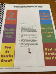 NEW Exploring Creation with Human Anatomy and Physiology: Notebooking Journal