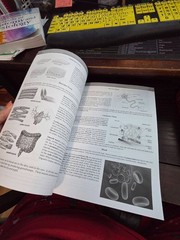 MBLEx Test Prep – Comprehensive Stu…, Merlino LMT, Da