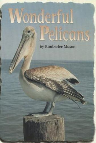 Wonderful Pelicans – Reading 2000 Leveled Reader 2.39B (Scott Foresman Reading: