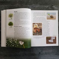 BJU Press Science 4 Teacher’s Edition w/CD-ROM (4th Ed.) & Student Textbook