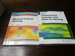 ELSEVIER Textbook Study Guide Lot Of 15 Peds Mental Health Pharm Nursing