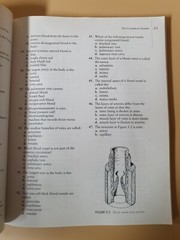 Phlebotomy Exam Review/By Ruth E.McCall & Cathee M.Tankersley (1997)